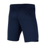 paris saint-germain nike home stadium shorts 2023-24 with custom printing Kits Collection | Shop PSG Gear