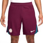 psg nike dri-fit adv elite shorts – maroon Kits Collection | Shop PSG Gear