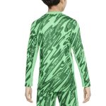 psg nike goalkeeper stadium shirt 2024-25 – kids Kits Collection | Shop PSG Gear