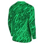 psg nike goalkeeper stadium shirt 2024-25 with custom printing Kits Collection | Shop PSG Gear