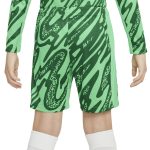 psg nike goalkeeper stadium short 2024-25 – kids Kits Collection | Shop PSG Gear