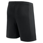 psg x jordan third stadium shorts 2023-24 – kids Kits Collection | Shop PSG Gear